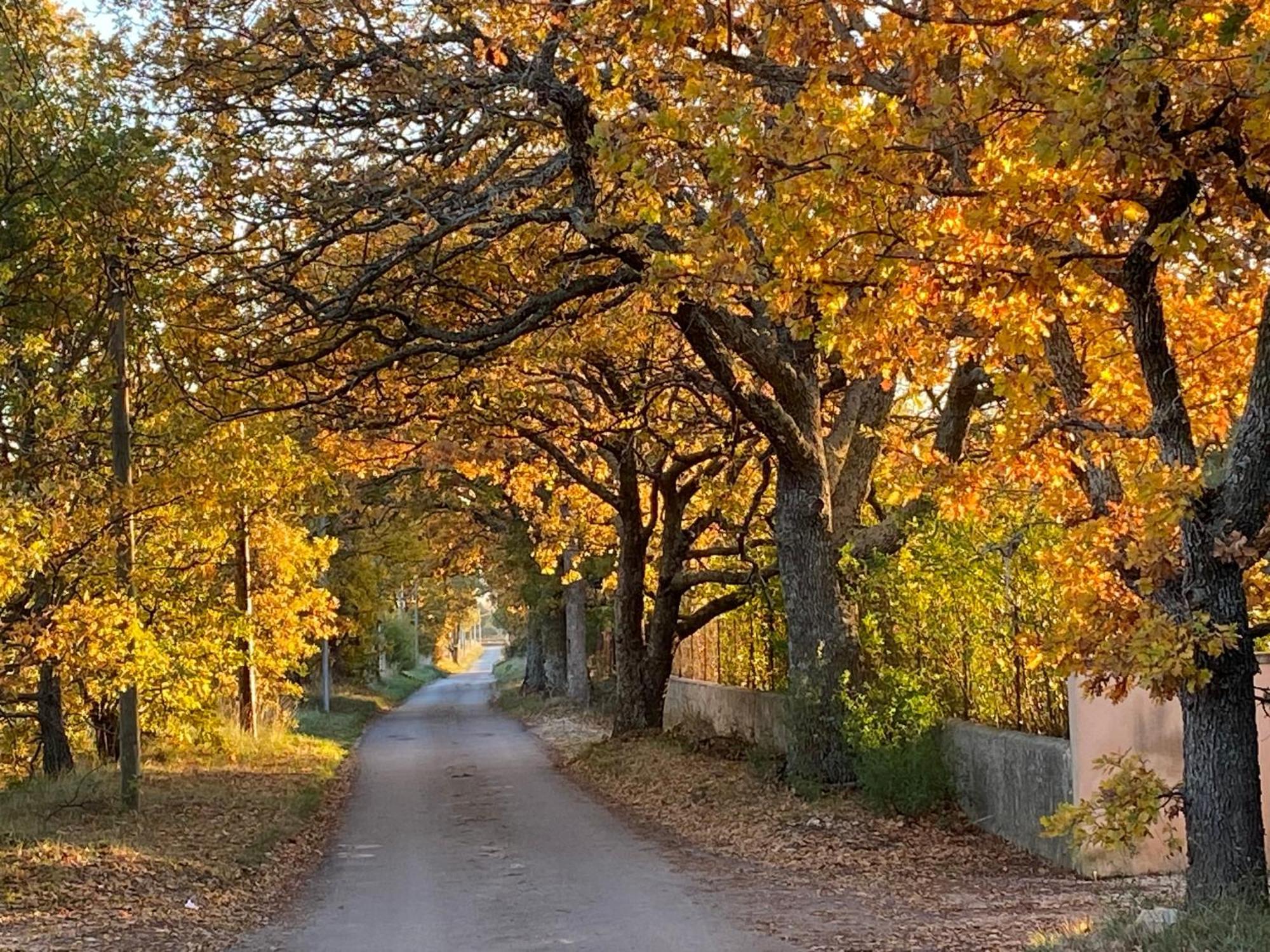 Apartmán Le Domaine De Gaia Aix-en-Provence Exteriér fotografie